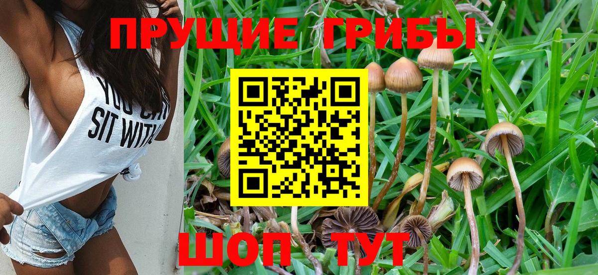Псилоцибиновые грибы мухоморы Ижевск